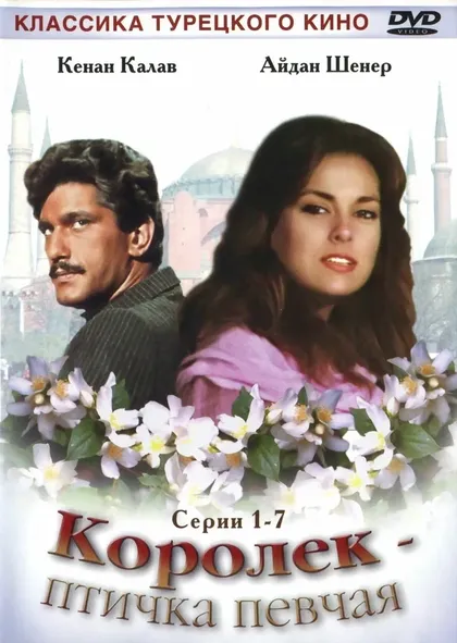 Постер Королёк – птичка певчая (1986)