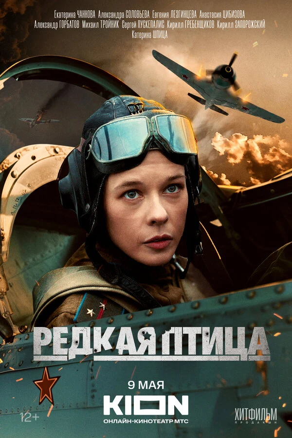 Постер Редкая птица (2024)