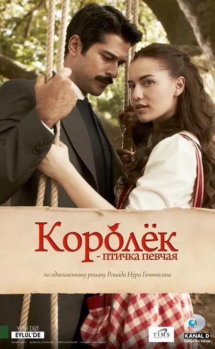 Постер Королёк – птичка певчая (2013)